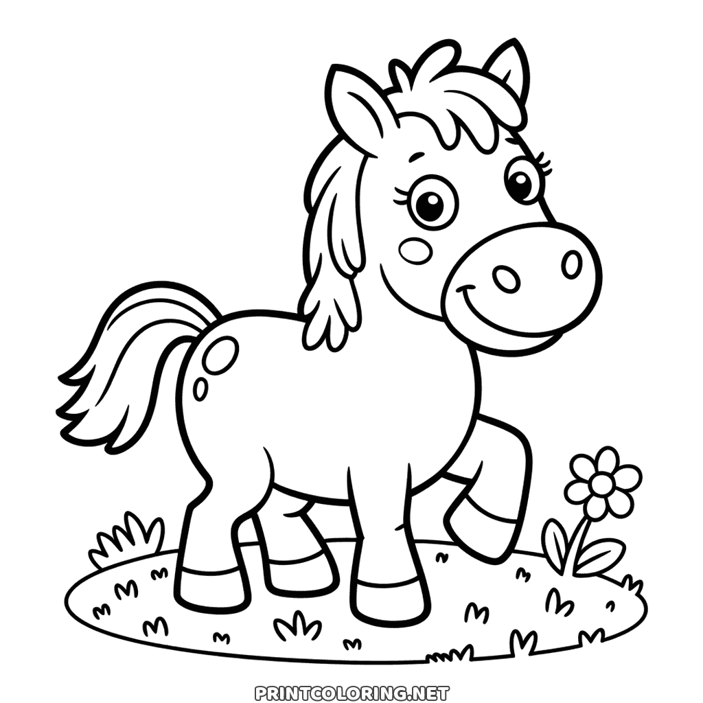 A round pony standing on grass with a flower beside it, easy horse page to color