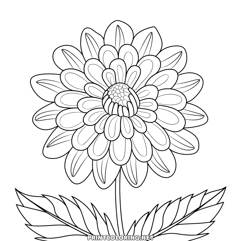 Detailed dahlia coloring page for adults: rings of pointed petals around a dense centre