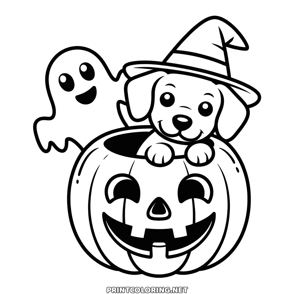 Halloween hund målarbild: en valp i häxhatt vilar tassarna på en urholkad pumpa