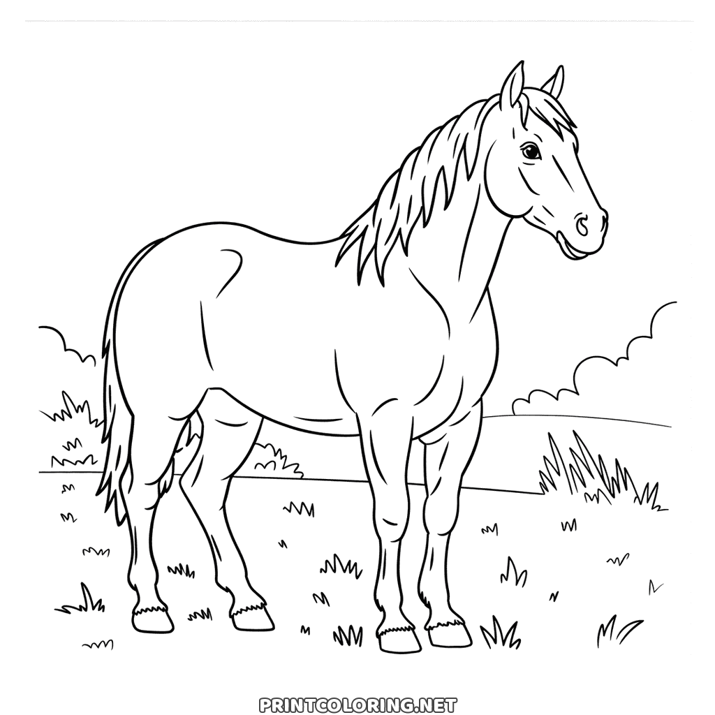 Realistic horse coloring page: every muscle showing, standing in a field