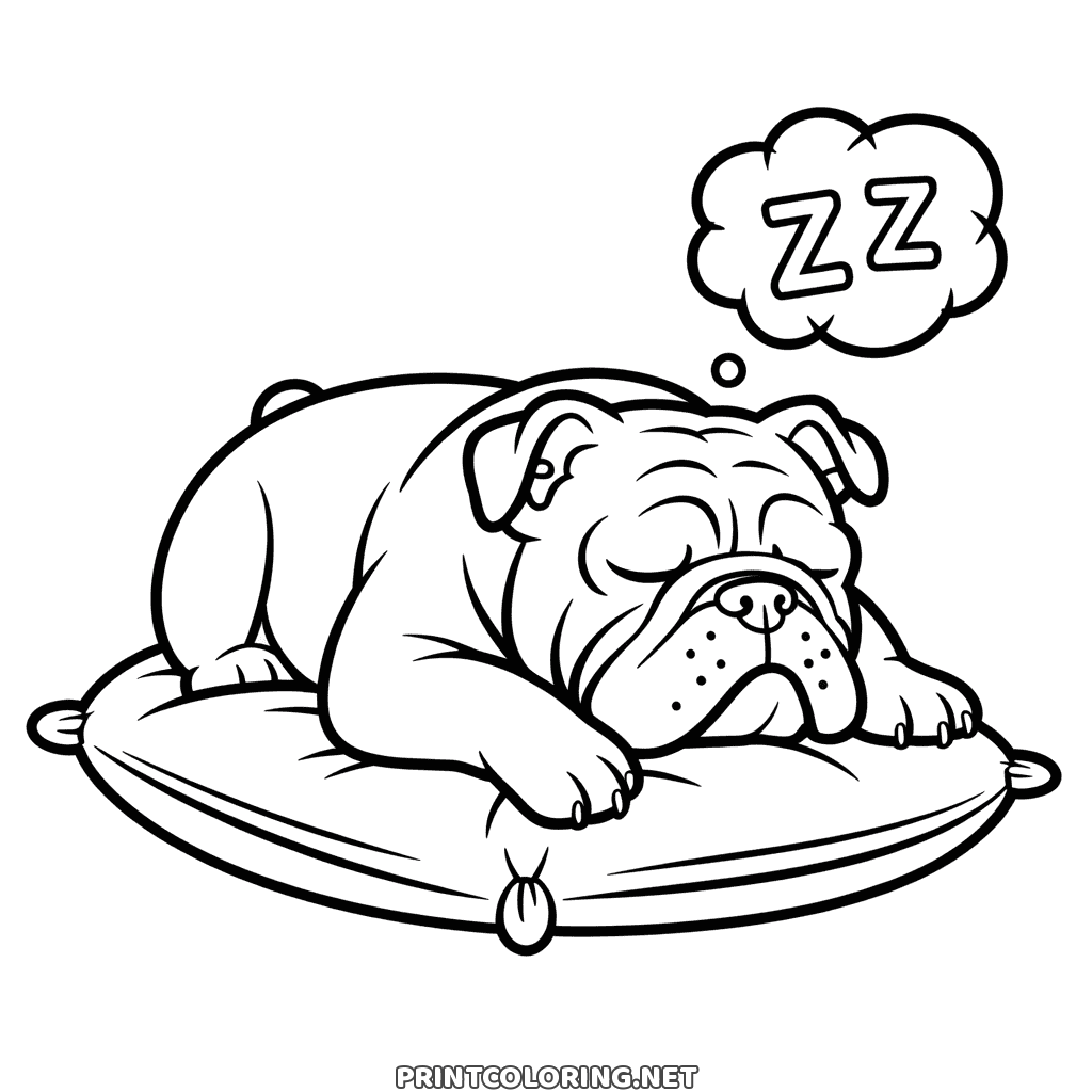 Sleeping bulldog coloring page: a wrinkly dog dozing on a big cushion under a Zz bubble