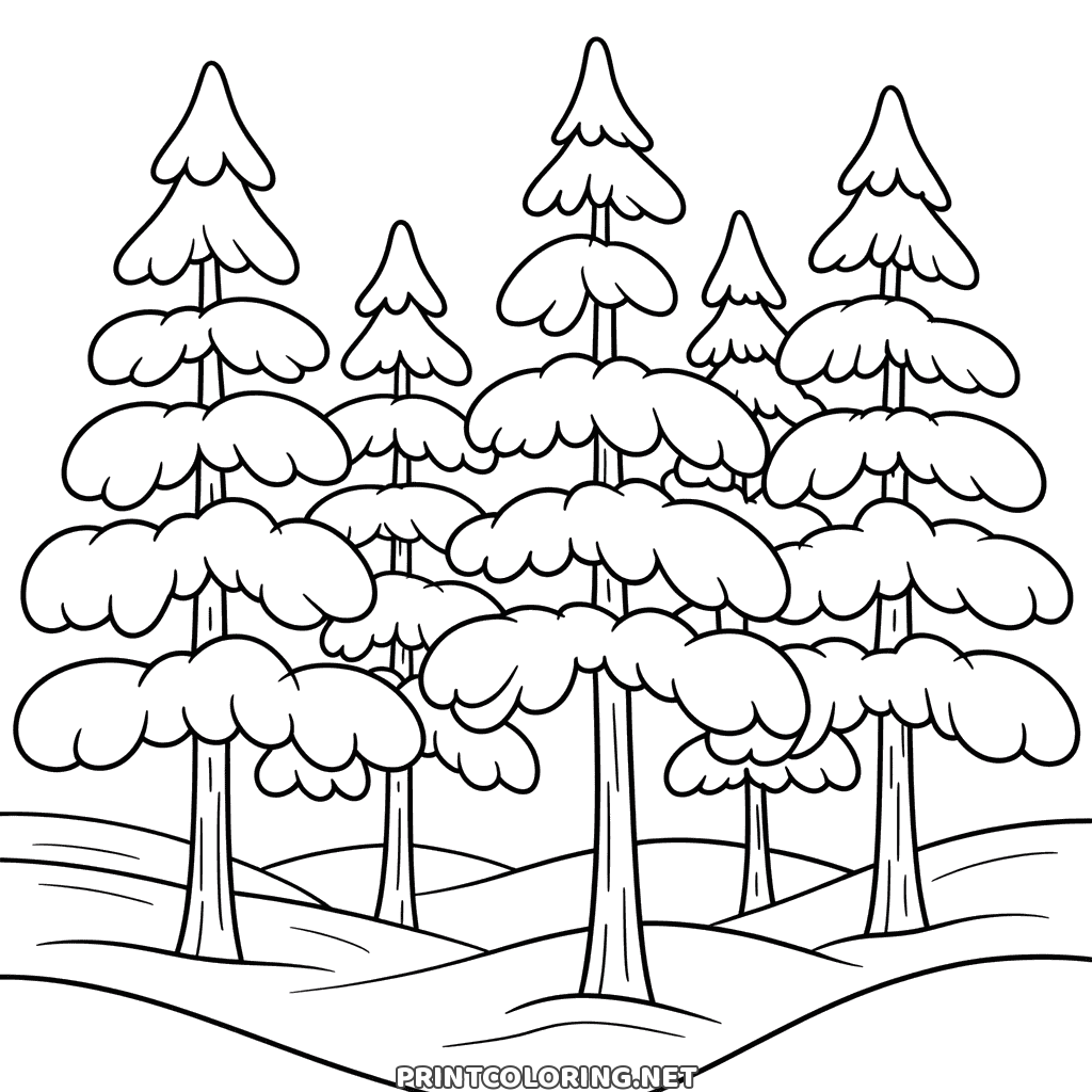 Snowy pine forest coloring page for older kids: tall pines with snow on every branch on rolling white hills