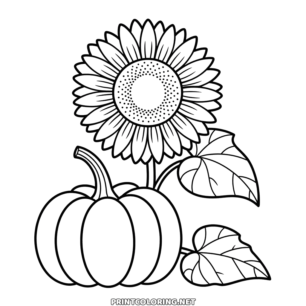 Simple fall coloring page: a sunflower with a dotted centre rising behind a round pumpkin